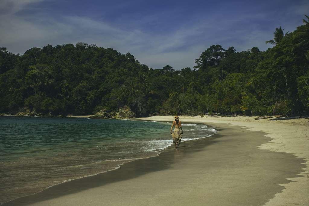 Jungle Vista Boutique Hotel Manuel Antonio Příroda fotografie